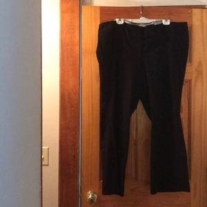 Torrid Dress pant